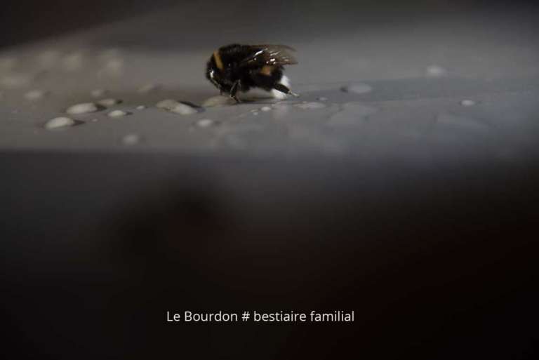 ka-bourdon-0073