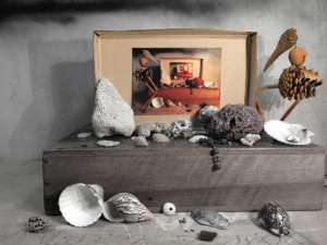 ka-curiosite-0240