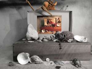 ka-curiosite-0241