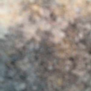 ka-curiosite-0236-a