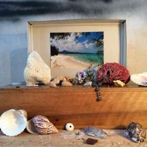 ka-curiosite-0237