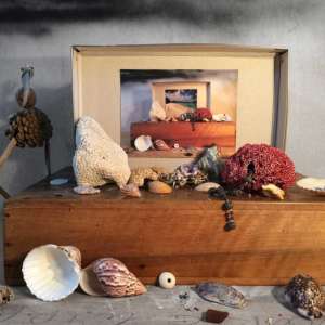 ka-curiosite-0238