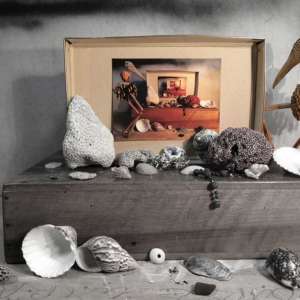 ka-curiosite-0240