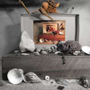 ka-curiosite-0241
