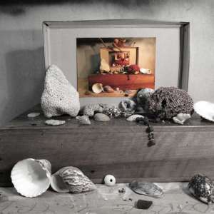 ka-curiosite-0242