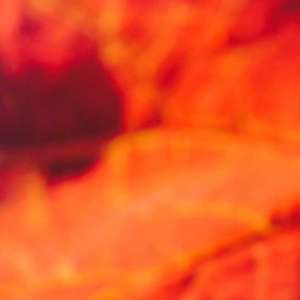ka-hortus-0014