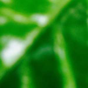 ka-hortus-0023