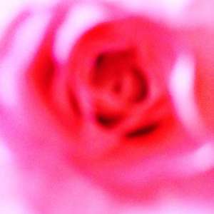 ka-hortus-0037